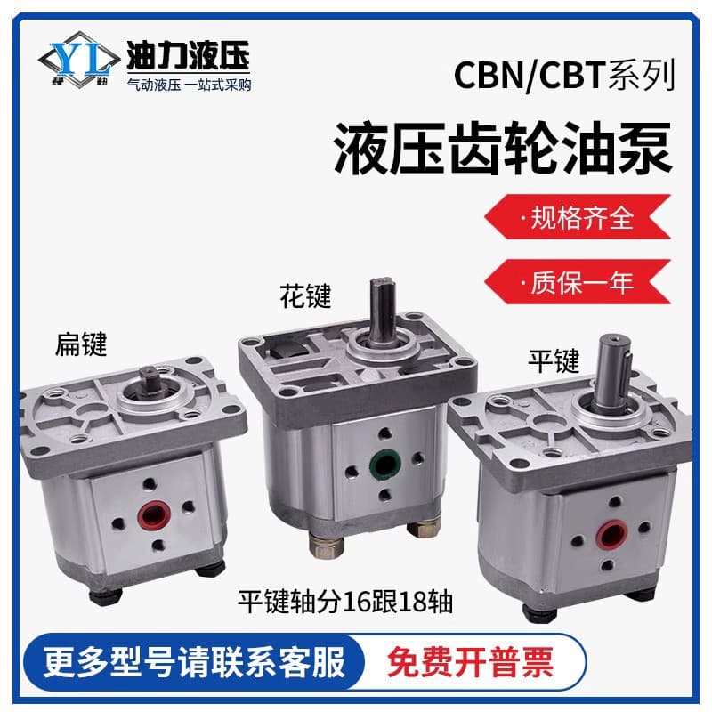 Гидравлический шестеренчатый насос CBW/CBT/CBN-E/F304 гидравлическая система моторный масляный насос