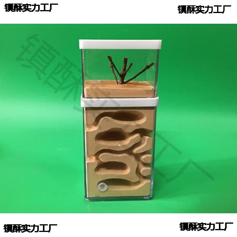Earth Heart Ant Workshop Домашний замок Студенческое муравьиное гнездо Manor Pet Queen Ant Box