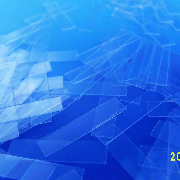 Dongguan Jiuzhou Packaging Materials Co., Ltd.