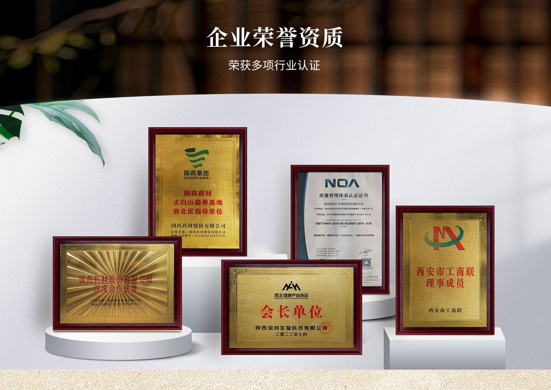 Shaanxi Jinrun Biotechnology Co., Ltd.