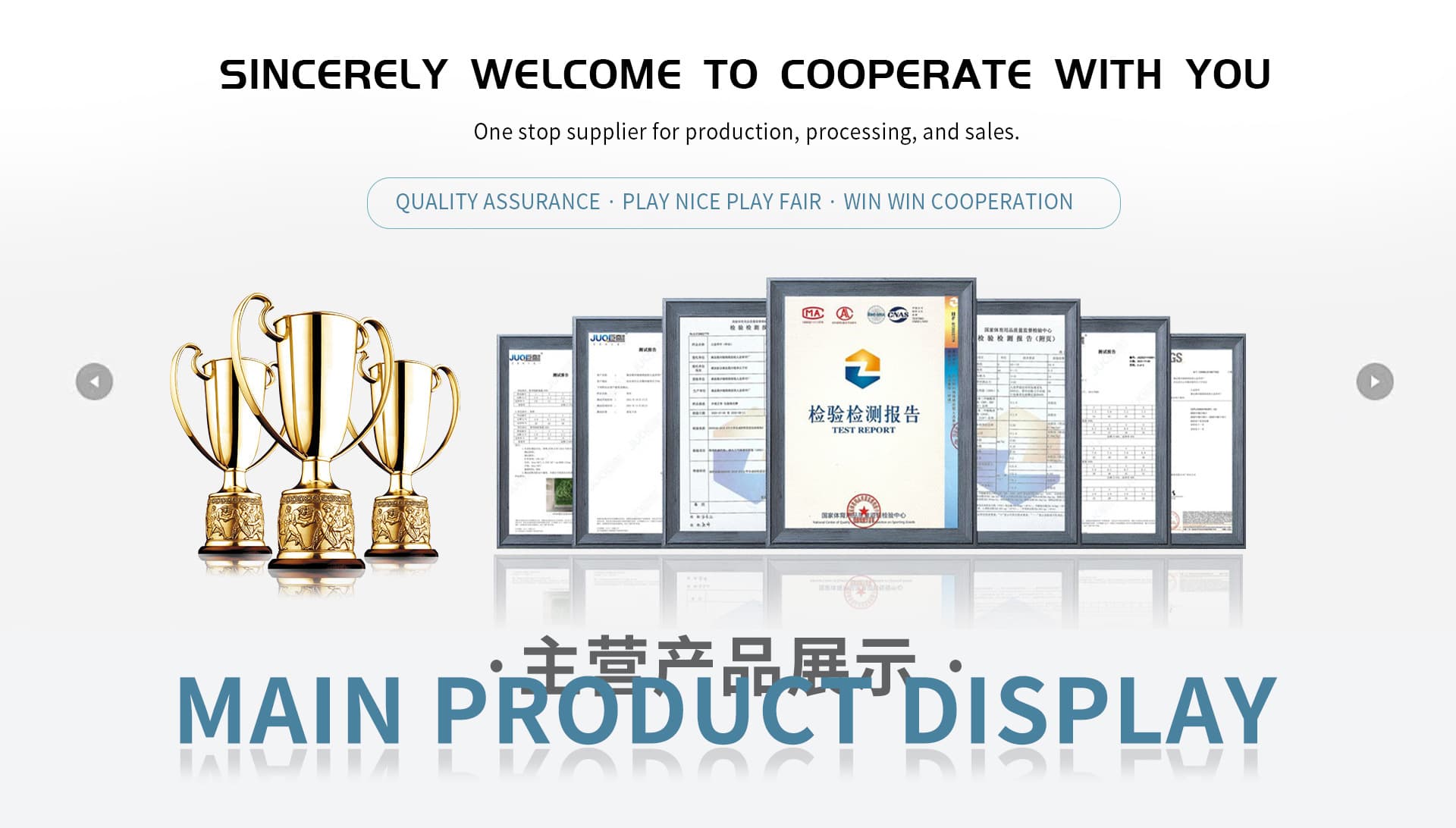Renqiu Wanlisen Artificial Plant Co., Ltd.