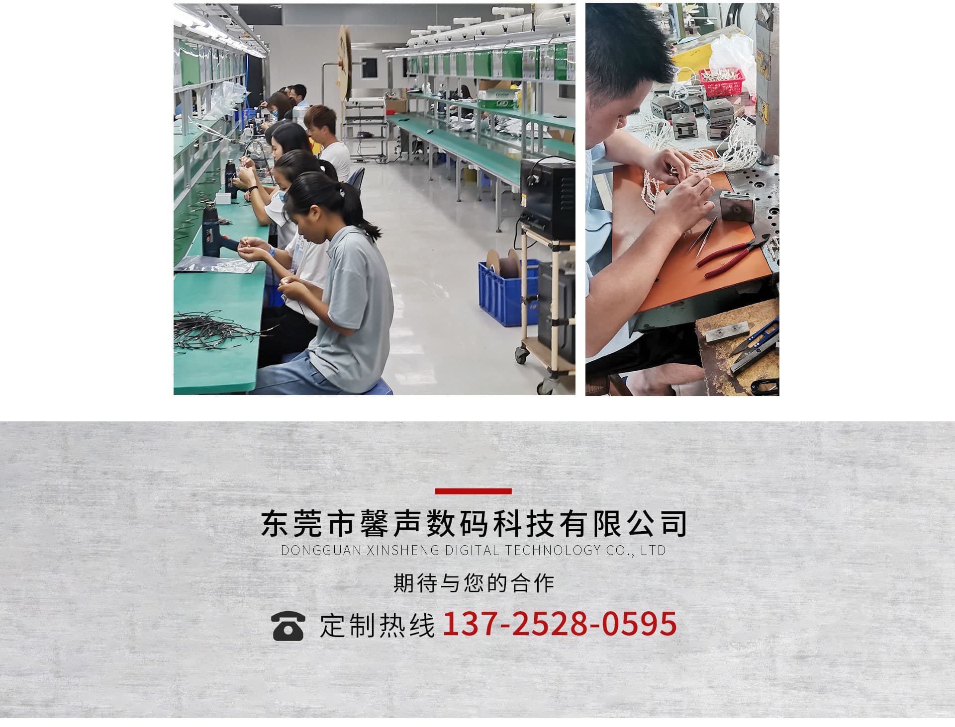 Dongguan Xinsheng Digital Technology Co., Ltd.