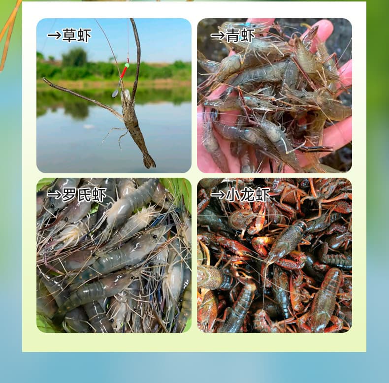 Yiwu Zhenxuan Outdoor Products Co., Ltd.