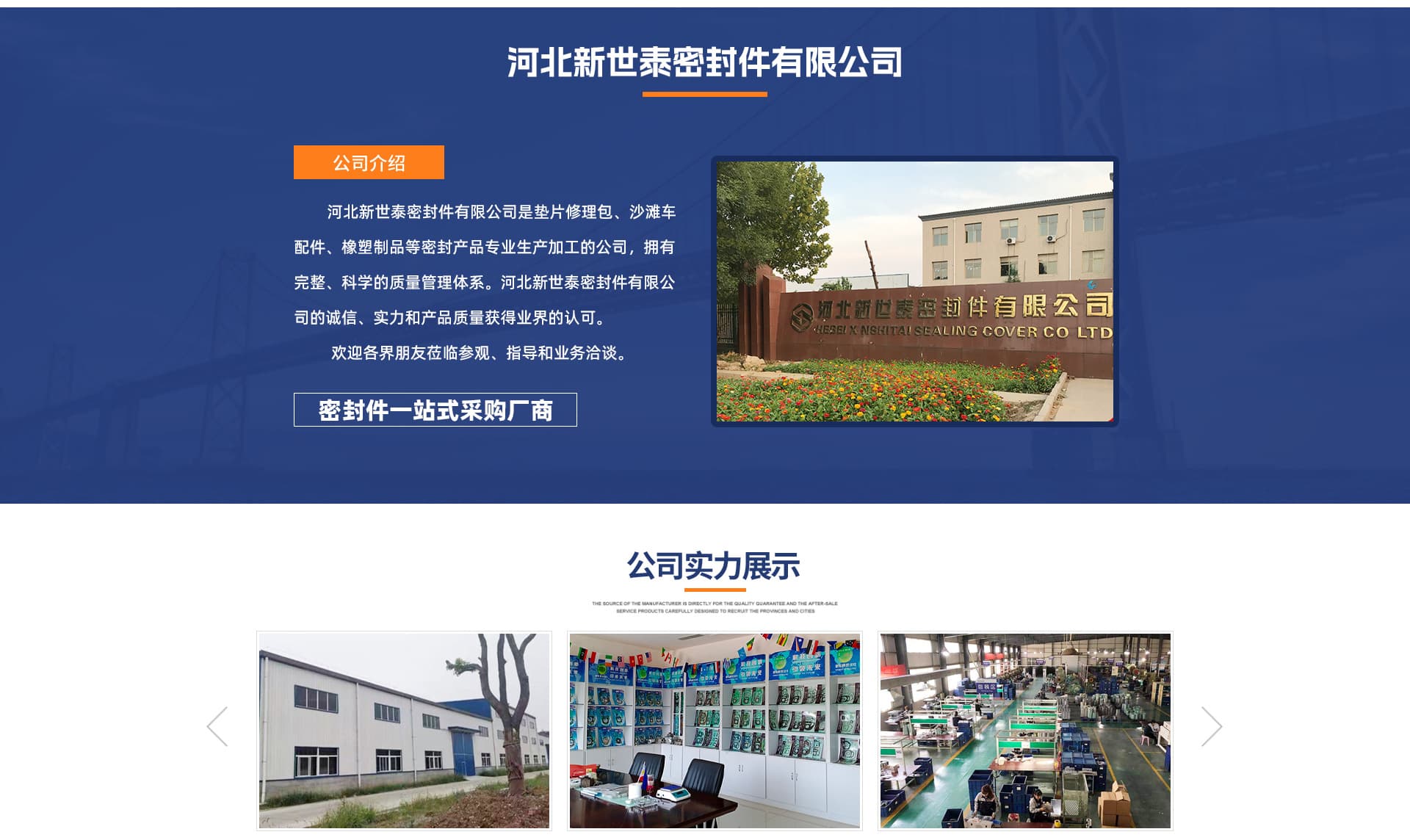 Hebei Xinshitai Sealing Parts Co., Ltd.