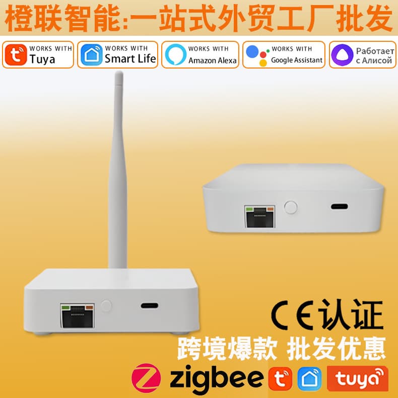 Замена проводной домашней панели для центрального шлюза умного дома Zigbee3.0 с функцией граффити для трансграничных заводов