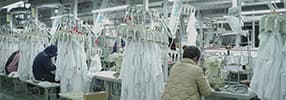 Ningbo Dashu Garment Co., Ltd.