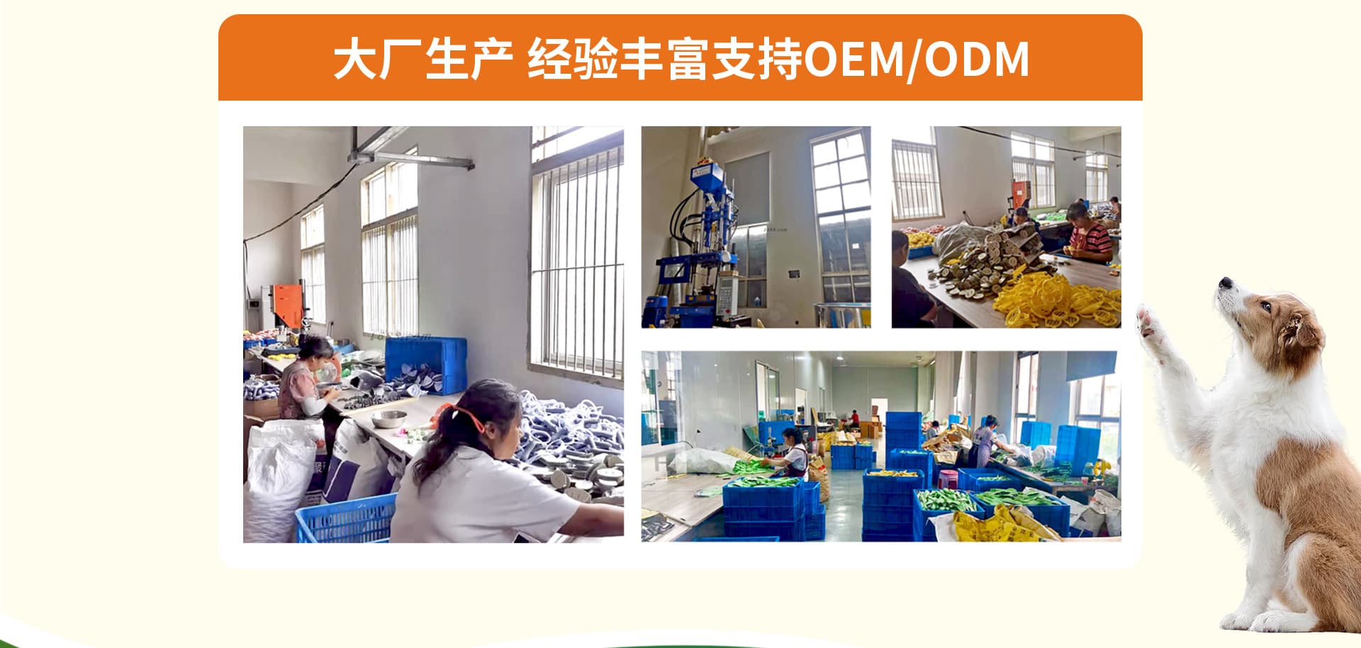 Ningbo Aierme Pet Products Co., Ltd.