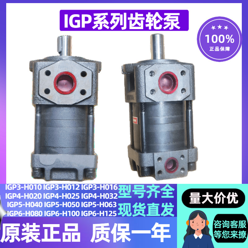 Шестеренчатый насос IGP4-H020/H025/H032 оптом из Китая