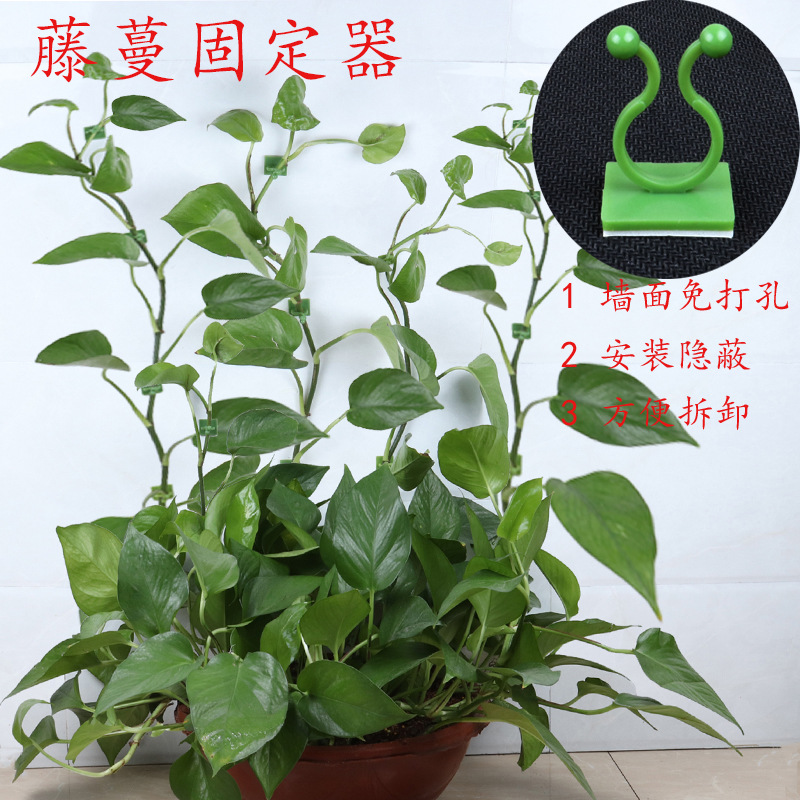 Крюк для крепления лиан Green Rose оптом из Китая