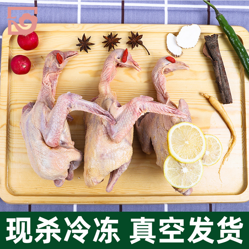 Молочные голуби для мяса оптом из Китая