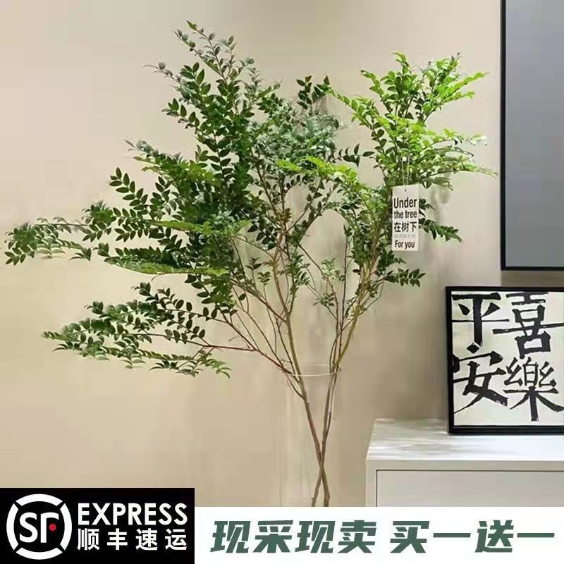 Ветки японского колокольчика Mani Tree оптом из Китая