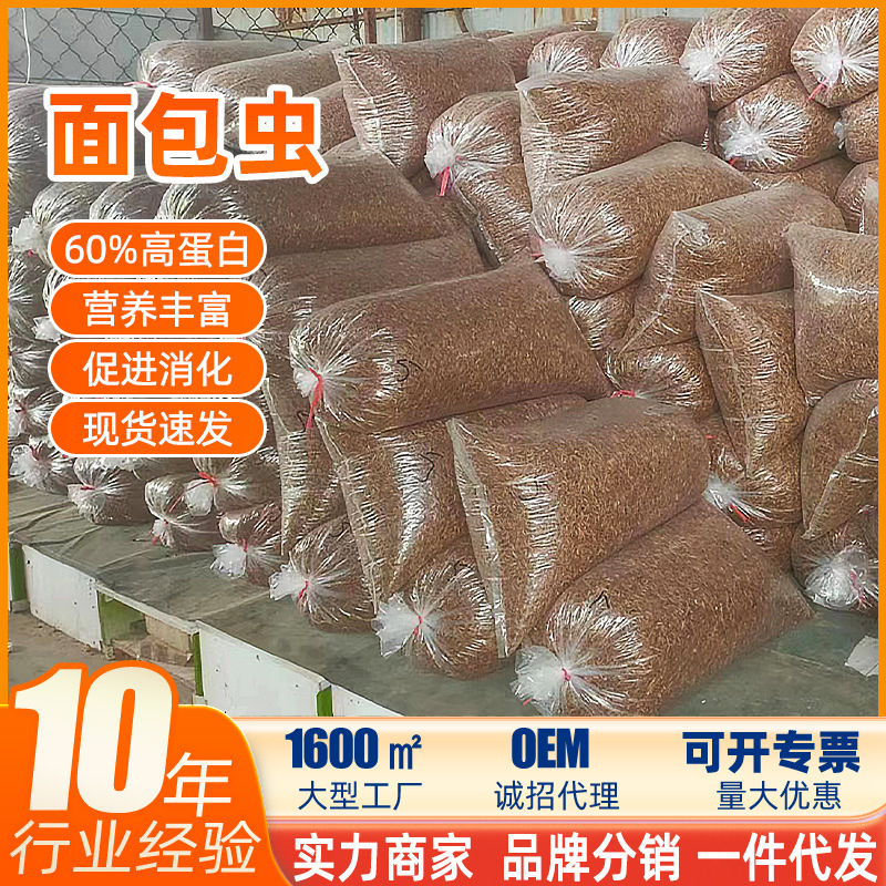 Оптовые продажи мучных червей, сушеные желтые му оптом из Китая