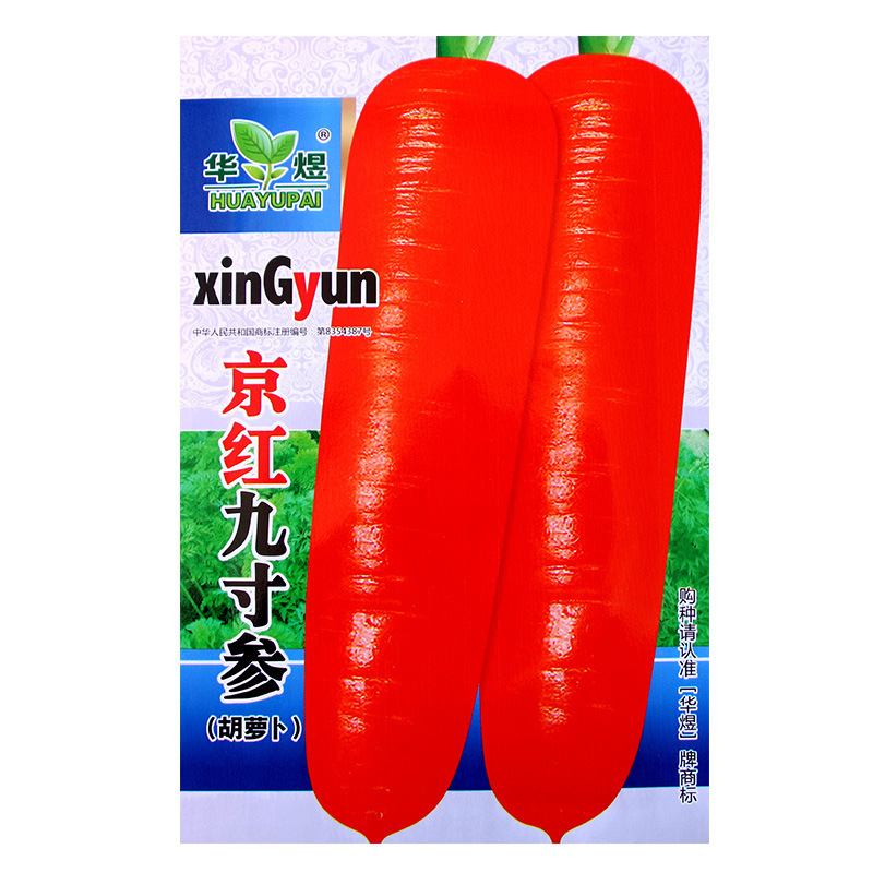Семена моркови красной оптом из Китая — женьшень Jinghong