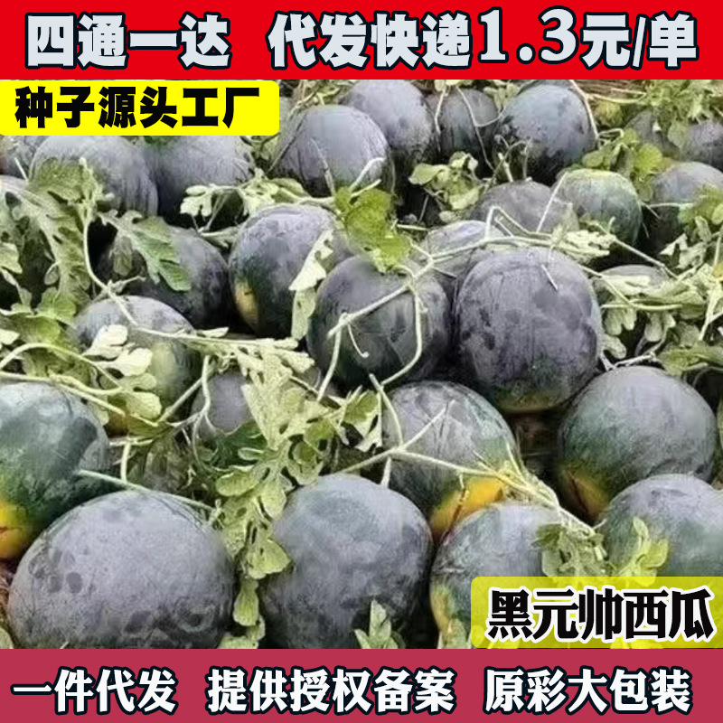 Семена арбуза Big Fruit Black Beauty Watermelon оптом из Китая