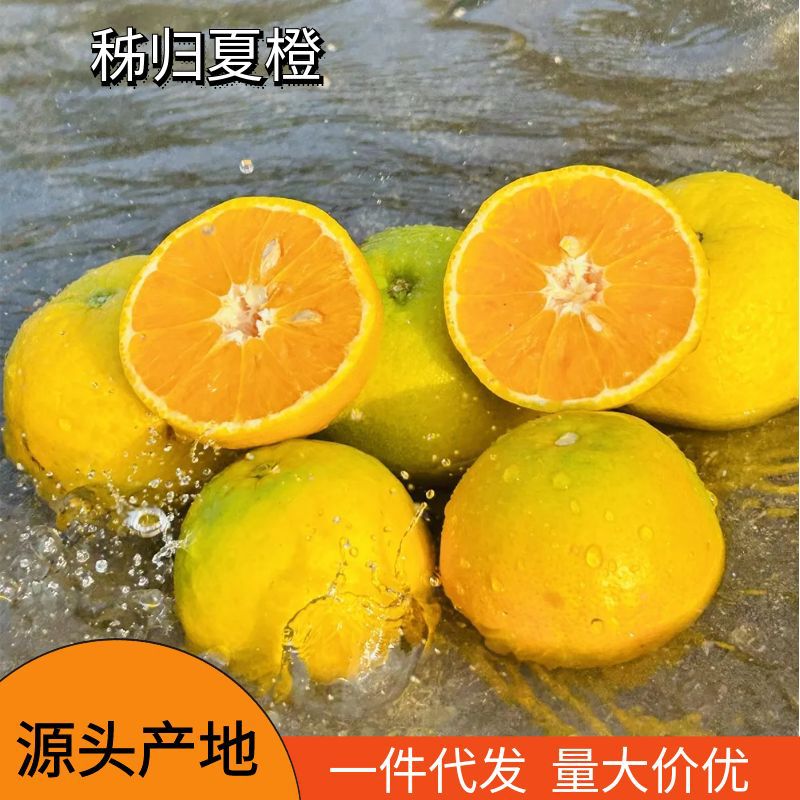 Апельсины Zigui оптом из Китая