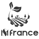 MS FRANCE logo DocShipper partner