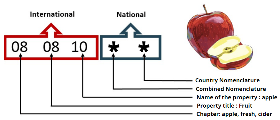 Understanding the HS code
